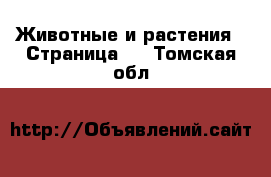  Животные и растения - Страница 2 . Томская обл.